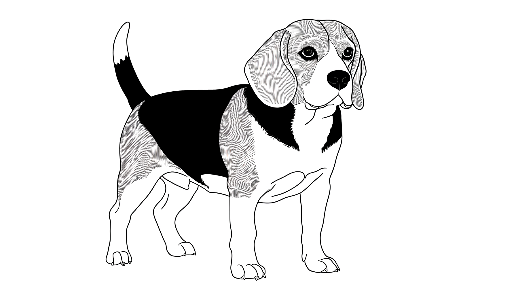 Gus as Line Art